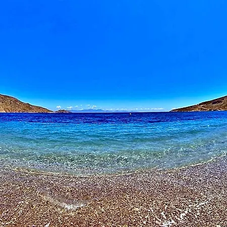 Dream Island